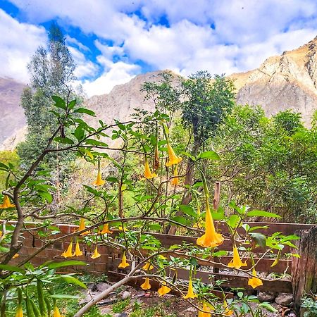 Peru Quechua'S Lodge Ollantaytambo Eksteriør bilde
